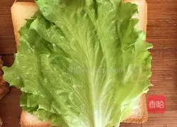 Chicken Steak Sandwich Recipe Illustration 4