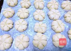 Pumpkin pie recipe 4