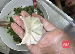 Illustration of how to make pork and leek dumplings 6