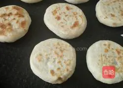 Illustration of how to make fennel pork pie 11