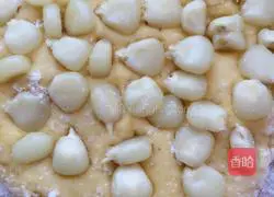 Fresh tortilla making illustration 5