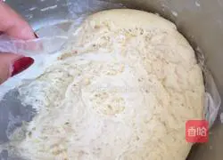 Illustration of how to make Gege brand homemade kohlrabi buns 10