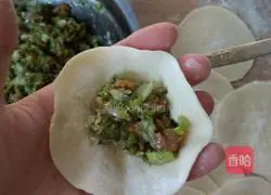 Sophora Pork Dumpling Recipe Illustration 7