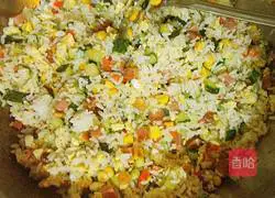 Assorted Ham Fried Rice Recipe Illustration 13