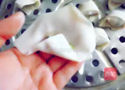 How to make wontons Illustration 3