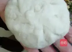 Illustration of how to make fermented wild onion pie 4