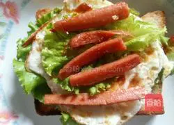 Homemade Illustration of how to make a sandwich 5