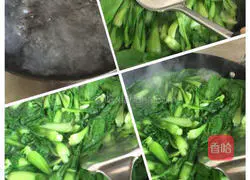 Pork and Shrimp Wonton Recipe Illustration 3