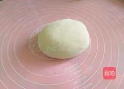 Illustration of how to make spinach dumplings 8