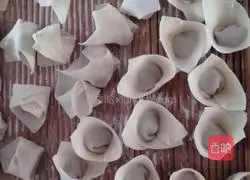 Illustration of how to make wontons 6