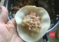 Winter Melon and Pork Dumplings Recipe Illustration 6