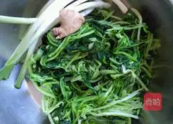 Illustration of how to make moss buns 2