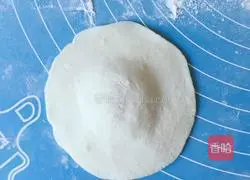 Carrot Filling Vegetarian Illustration of how to make steamed buns 8