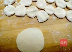 Exclusive vegetarian dumpling recipe 17