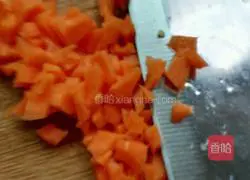 Assorted Fried Rice Recipe Illustration 2