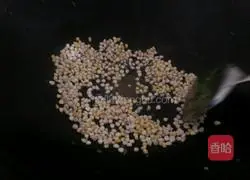 Assorted Fried Rice Recipe Illustration 10