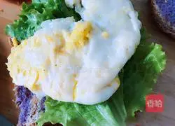 Illustration of making whole grain sandwich 8