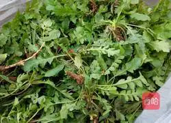 Shepherd’s purse stuffed dumplings Practice illustration 2