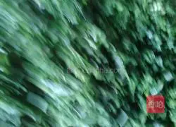 Illustration of how to make leek and egg dumplings 6