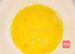 Egg Fried Rice Recipe Illustration 2