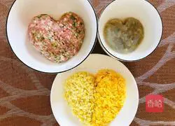 fresh Illustration of how to make wontons with meat and spring bamboo shoots 2