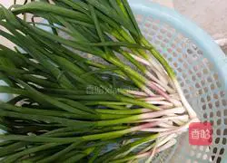 Illustration of how to make vegetarian dumpling fillings 2