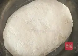 Illustration of how to make vegetarian dumplings 1