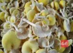 Uhuangmushroom Illustration of how to make leek and egg dumplings 1