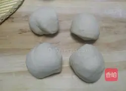 Illustration of how to make pork wontons 5