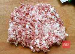 Pork Illustration of how to make wontons stuffed with mushrooms 1