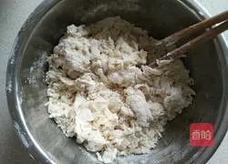 Illustration of how to make carrot and fungus lean meat dumplings 11