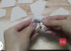 Illustration of how to make pork wontons 11