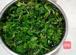 Illustration of making dumplings stuffed with shepherd's purse 3