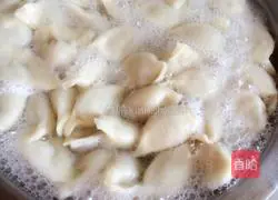 Illustration of Beef, Fungus and Carrot Dumplings 20