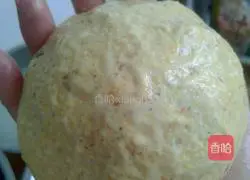 Illustration of how to make dandelion pancakes 9