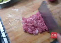 Illustration of how to make vegetarian wontons 2