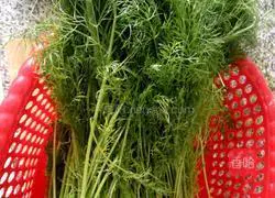 fennel and pork filling Illustration of how to make dumplings 1