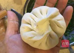 Pork and Chive Pie Recipe Illustration 11