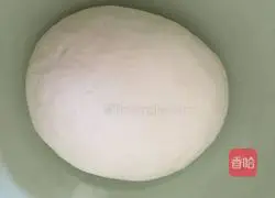 Illustration of how to make goldfish dumplings 4