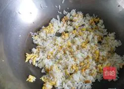 Illustration of how to make egg fried rice 5