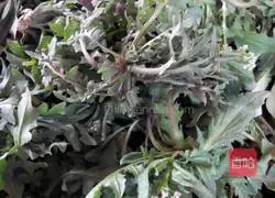 Illustration of how to make dumplings stuffed with wild vegetables 1