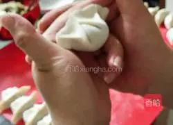 Illustration of dumpling wrapping method 3