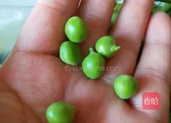 Xinwen Gourmet Scallop, Shrimp and Egg Fried Rice Recipe Illustration 2