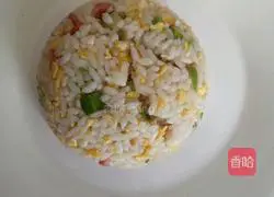 Illustration of how to make cat fried rice 11
