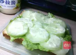 Nutritious Simple Sandwich Recipe Illustration 4