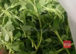 Alfalfa meat dumplings recipe 2