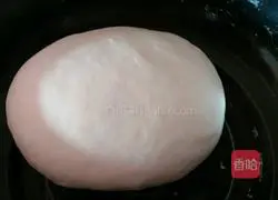 Illustration of how to make pork and leek dumplings 5