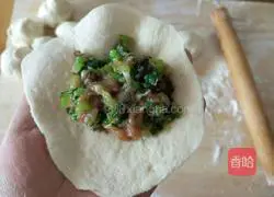 Illustration of how to make fungus and celery buns 16