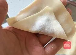 Illustration of how to make wontons 3