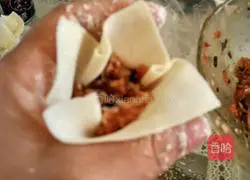 Illustration of making fungus meat wontons 10